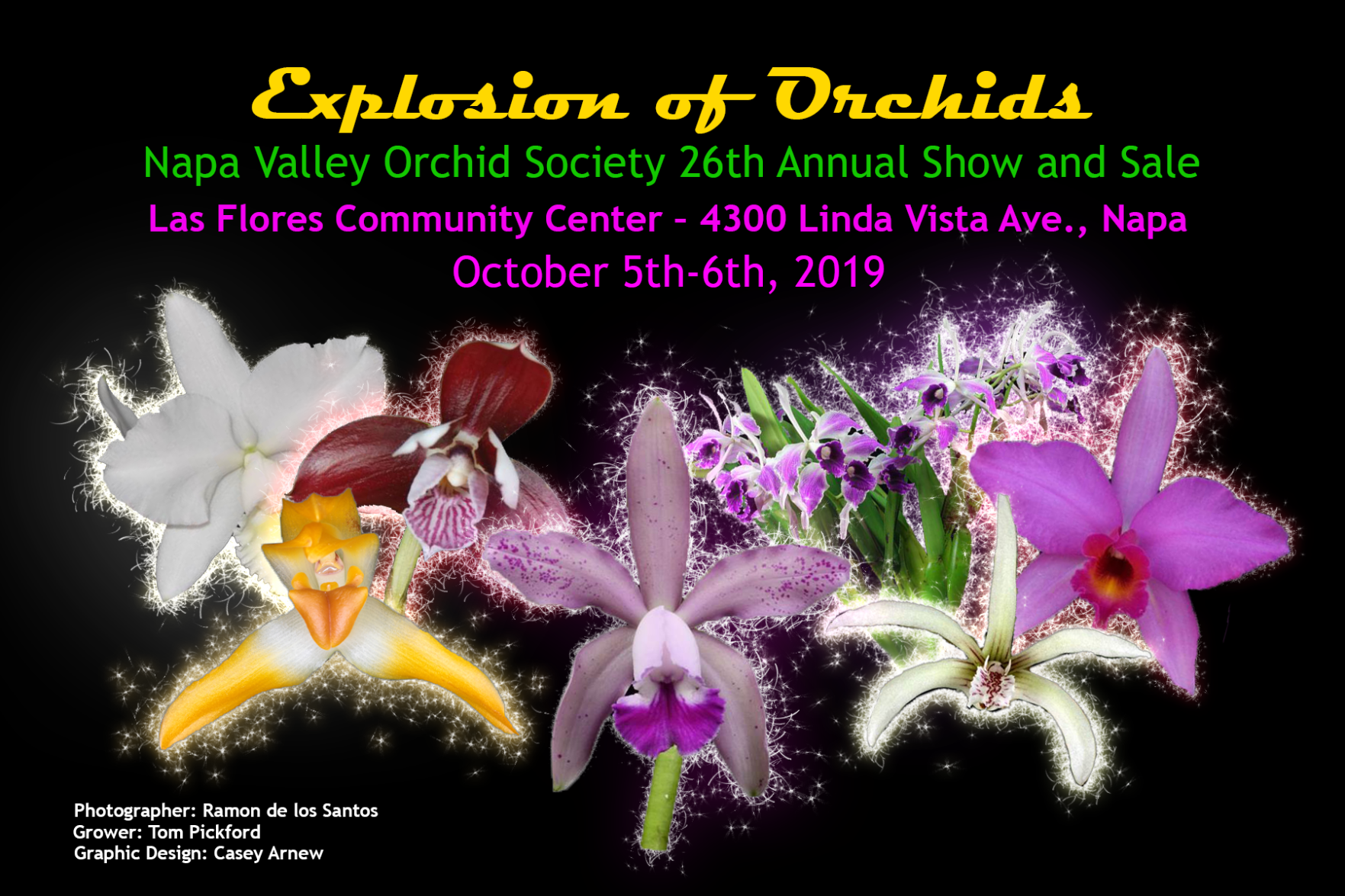 Explosion of Orchids Show & Sale